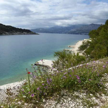 Villa More * Pucisca